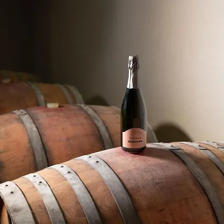 Podere Cavaga D'iseo Agribio Winery 酒店 *