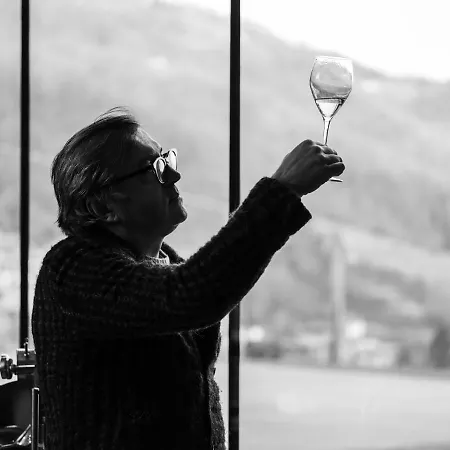 Podere Cavaga D'iseo Agribio Winery Hotel *
