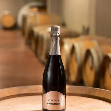 Hotel Podere Cavaga D'iseo Agribio Winery Foresto Sparso