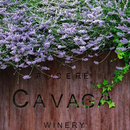 Podere Cavaga D'iseo Agribio Winery Foresto Sparso
